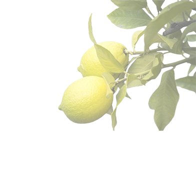 theme-leaf